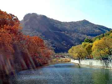 新澳门二四六天天彩，康掌柜